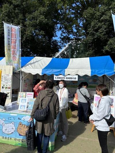 西東京市地域猫の会の展示