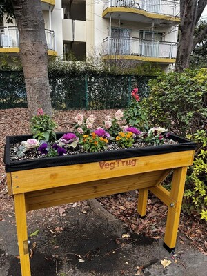 yatoicyoukouennkadann