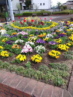 higasifusimiryokudoukouennkadan