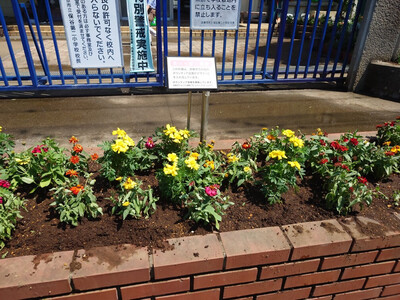 houyadainisyougakkouiriguchi