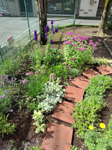 houyadai2kouennkadann