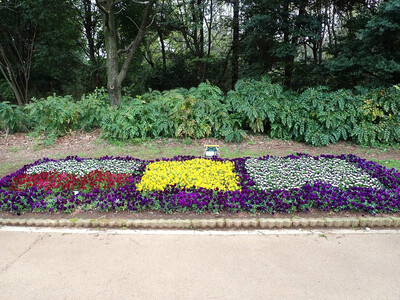 ikoinomorikouenkadan1