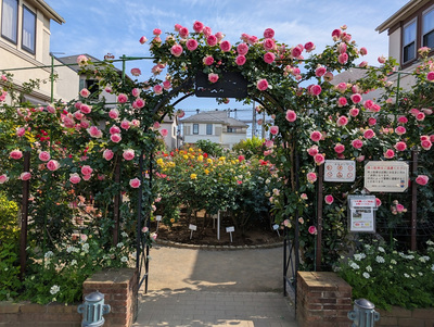 houyaro-zukurabukadann