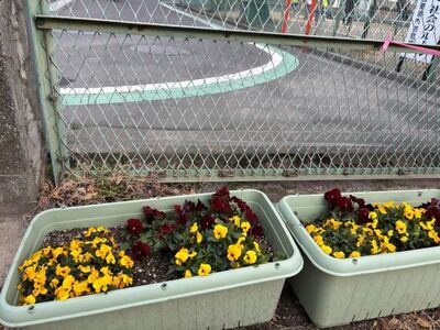 sibakubosyougakkoukadann