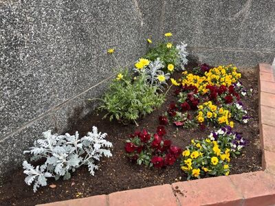 sibakubosyougakkoukadann