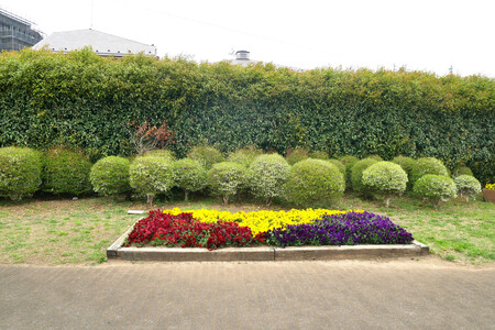 yatoseseragikouenkadan1