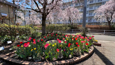 hanamizukikouennkadan