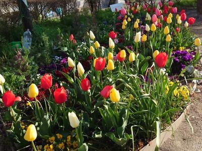 hyoutannjimakouennkadann