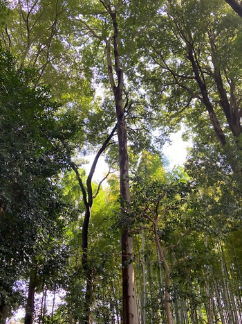 高木林ゾーン