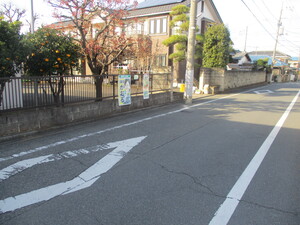 柳沢中央通り（田無駅北口行）