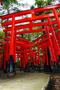 東伏見稲荷神社