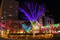 田無駅北口イルミネーション