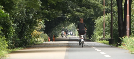 多摩湖遊歩道