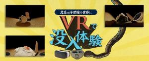 VRで没入体験