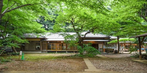 下保谷四丁目特別緑地保全地区(旧高橋家屋敷林)の写真