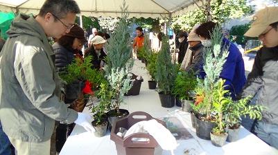 写真：植木アレンジメント教室