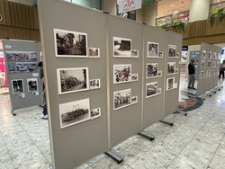 これまでのパネル展の写真