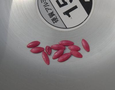 写真：キュウリの種