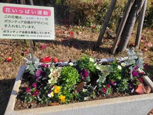 花壇の写真