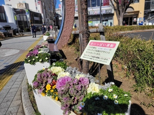 花壇