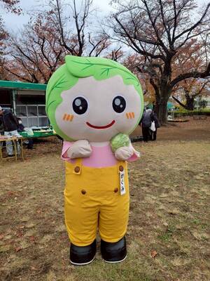 めぐみちゃんとキャベツ