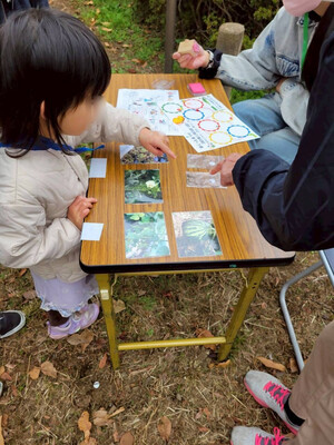 種をあてるクイズ