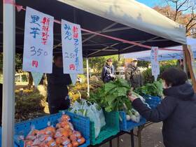 写真：ひばりフェスタの様子3