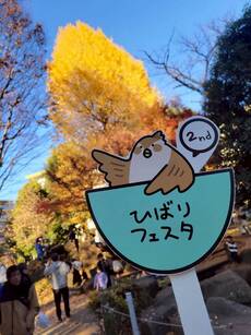 写真：ひばりフェスタの様子5