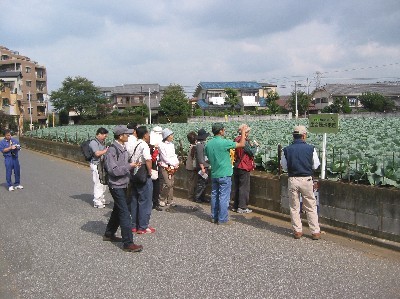 写真：農業景観散策会