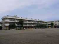 写真：保谷小学校