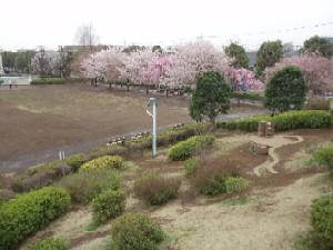 写真：文理台公園