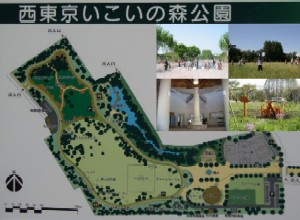 写真：西東京いこいの森公園