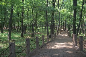 写真：西原自然公園
