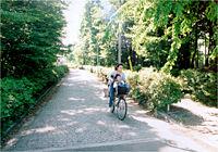 写真:碧山森緑地保全地域